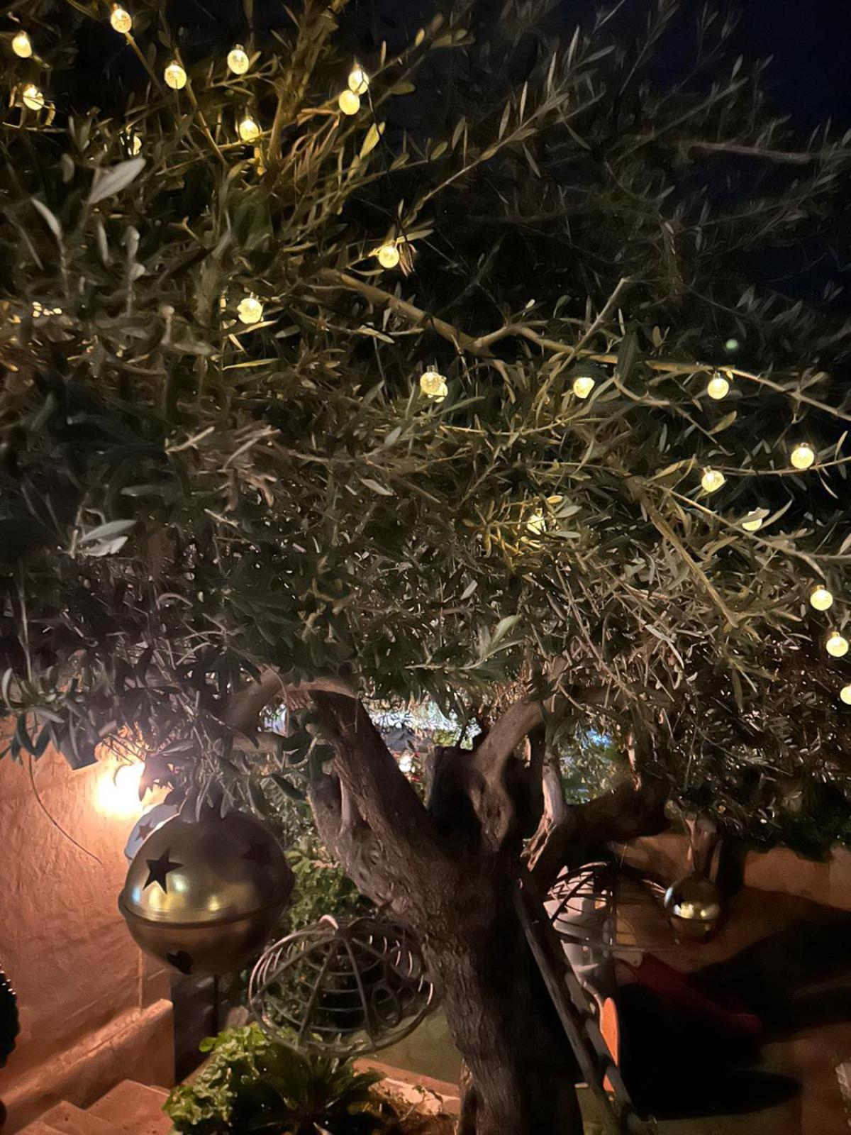 Relais Dei Mori Home Palermo كاستلداتشا المظهر الخارجي الصورة